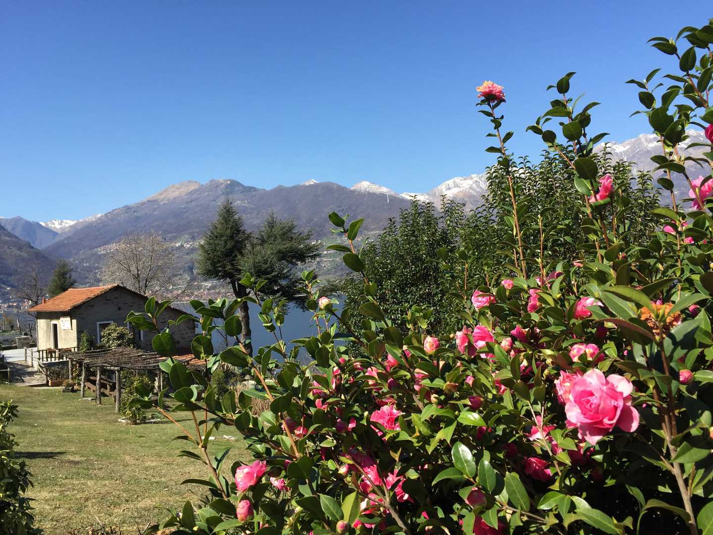 Radreise Italien Comer See - Traumhafter Blick auf den See