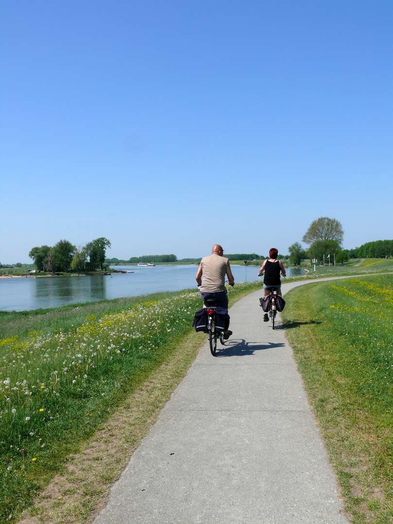 Rad und Schiffsreise Niederlande Hanse Höhepunkte - Radweg am Wasser