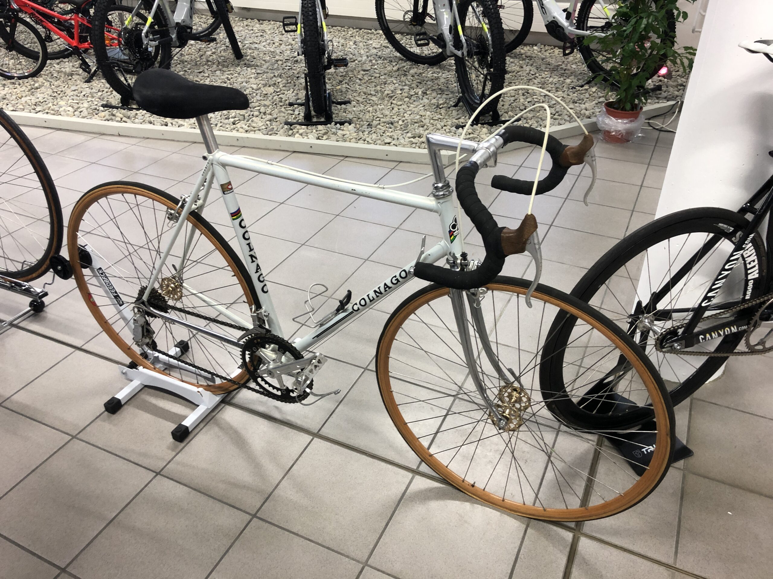 Thai Do - Fahrradmuseum Hüttlingen - Colnago Fahrrad mit Bambusreifen