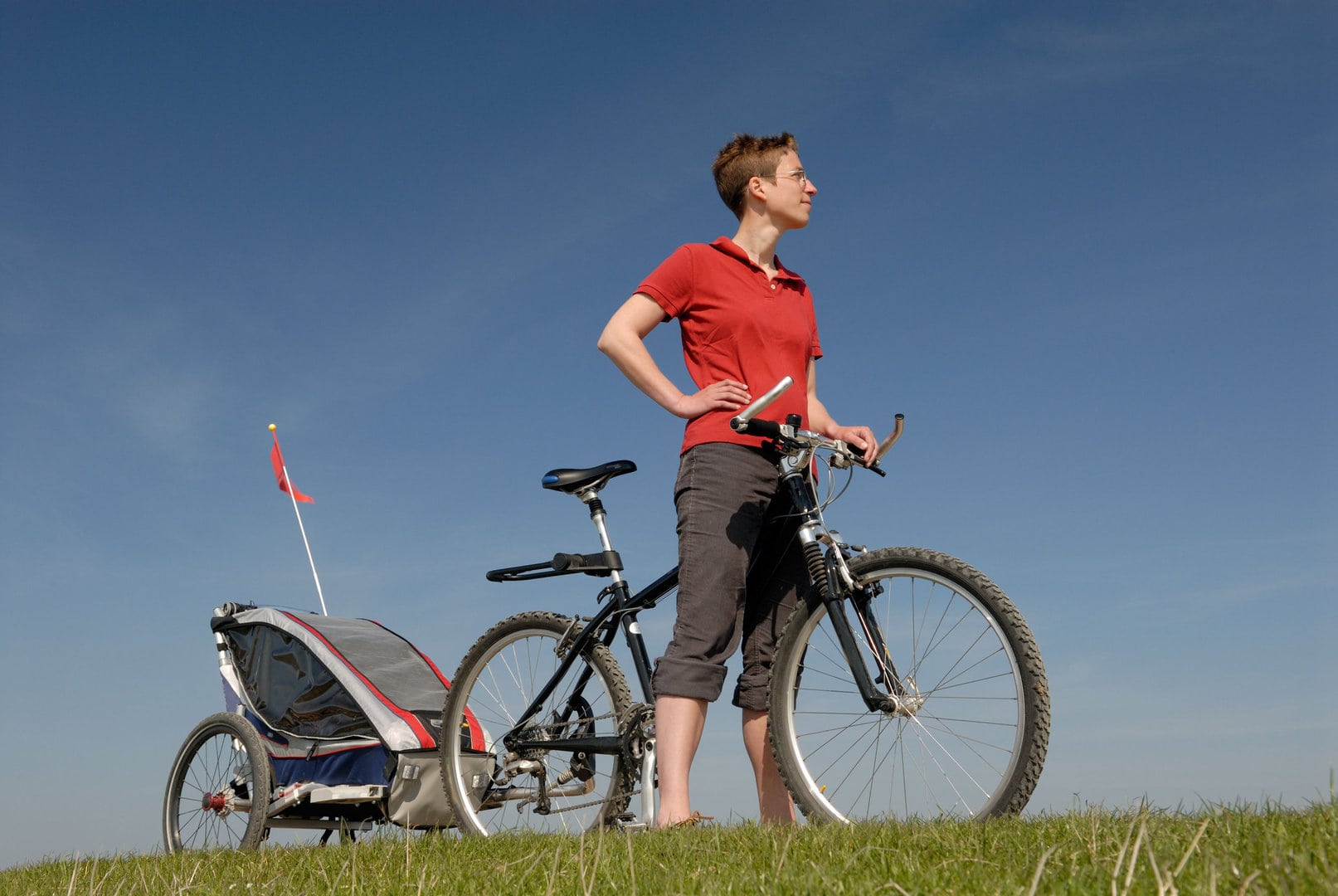 Fahrradanhänger Test